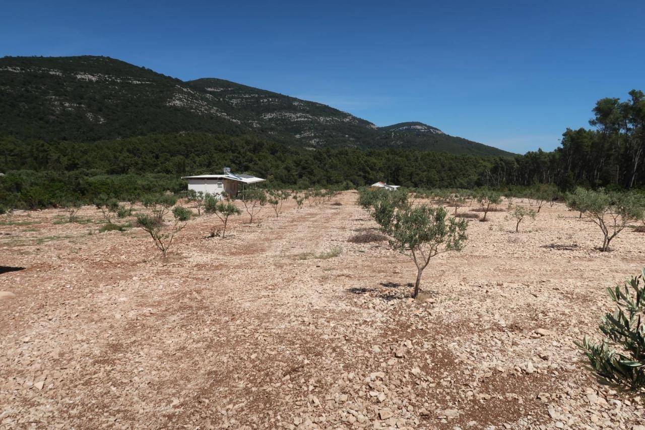 Villa Robinson Olive Tree Huts Čara Exterior foto